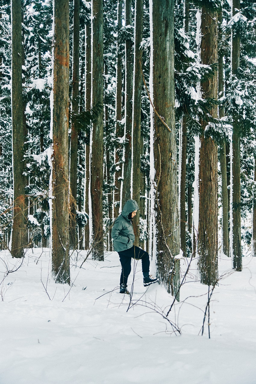 LADY'S AURORA DOWN JACKET